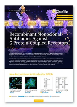 Recombinant Antibodies Against G protein-coupled receptors