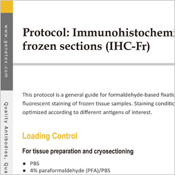 Protocol - IHC (frozen)