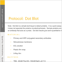 Protocol - Dot Blot