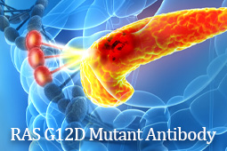 GeneTex Launches Novel Recombinant RAS (G12D Mutant) Antibody [HL10]