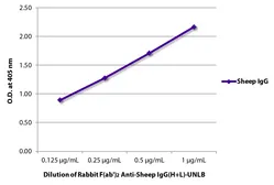 Rabbit Anti-Sheep IgG antibody, F(ab')2 fragment, pre-adsorbed. GTX04156